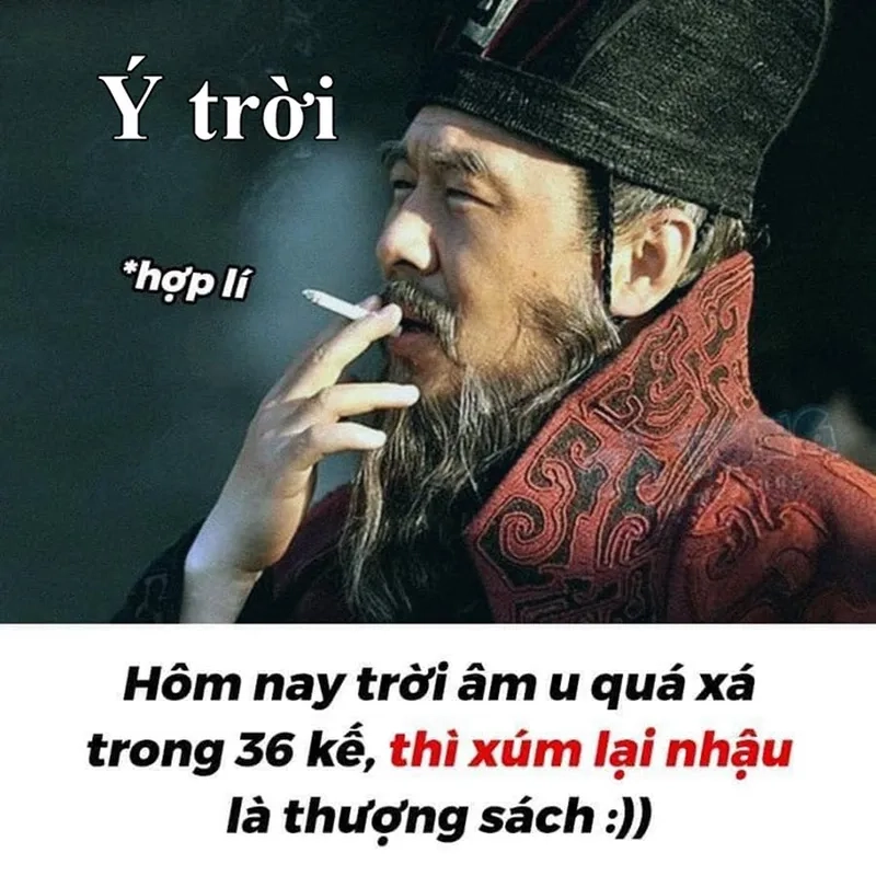 Meme gấu hài hước khiến bạn không thể quên