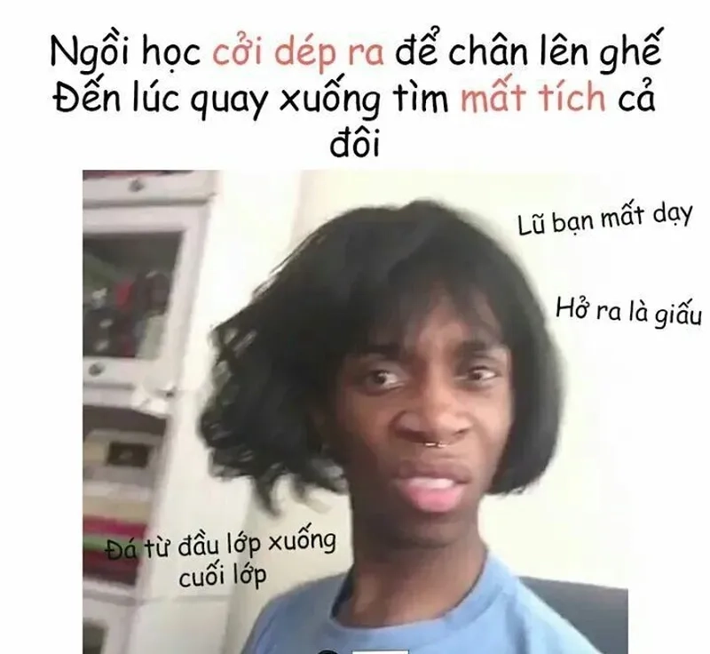 Chó meme hài khiến bạn không thể nhịn cười