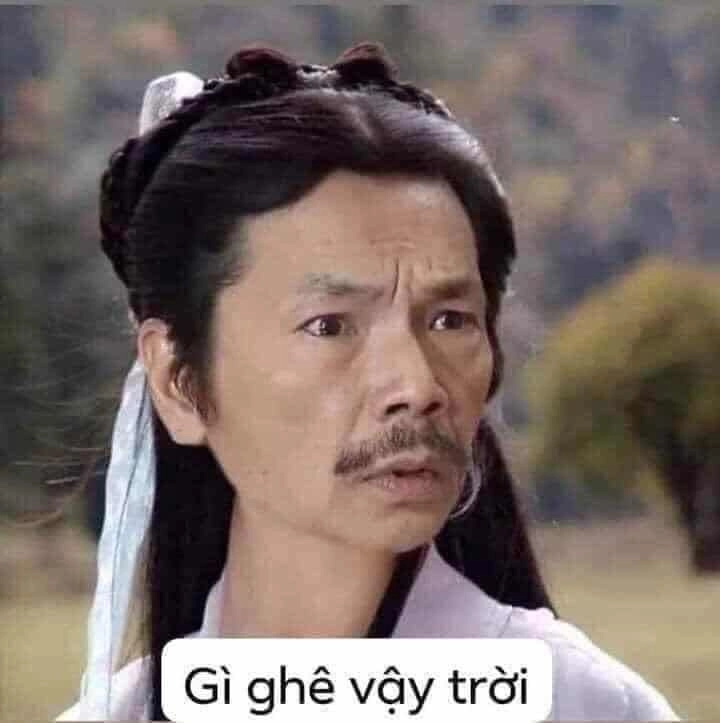 Meme hài hước mèo thật dễ thương và hài hước