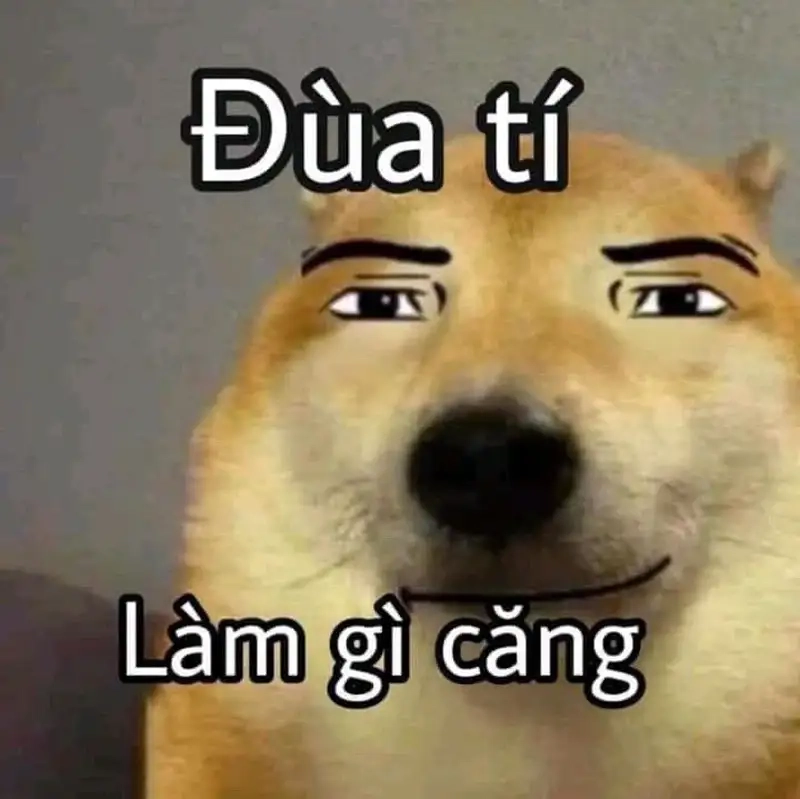 Meme gấu trúc bựa trung quốc thật độc đáo và thú vị