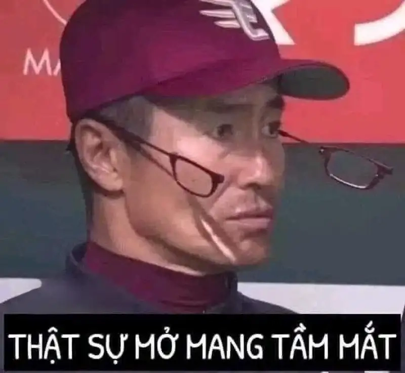 Avatar meme hài bựa thật dễ thương và vui nhộn