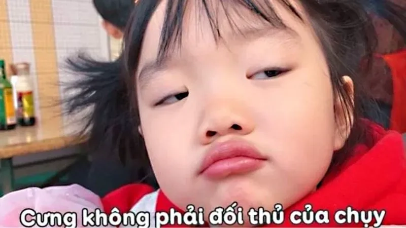 Hình mèo meme hài đáng yêu cho những khoảnh khắc vui vẻ