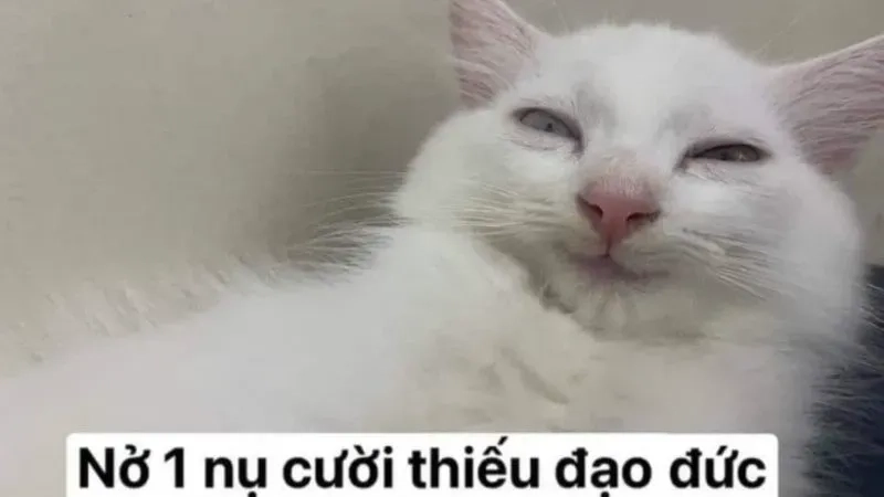 Vẽ meme hài mang lại niềm vui cho người xem