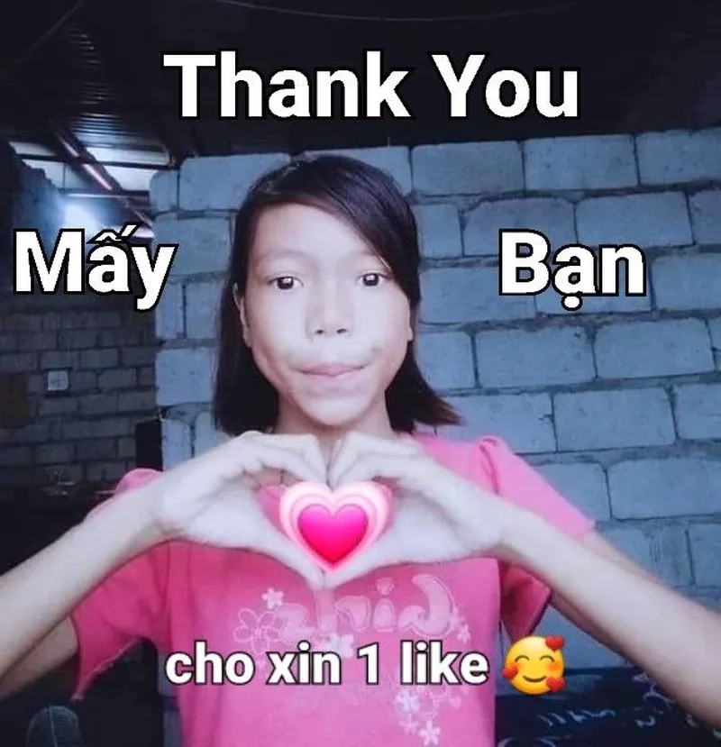 Gấu trúc meme hài thật dễ thương và hài hước