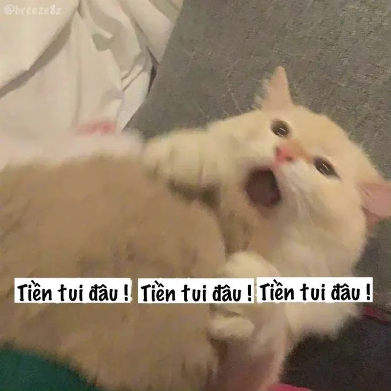 Meme ví hết tiền cho những ai đã từng trải qua cảm giác này