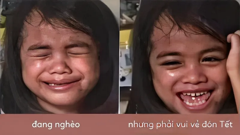 Mèo meme tết dễ thương khiến bạn không thể cưỡng lại