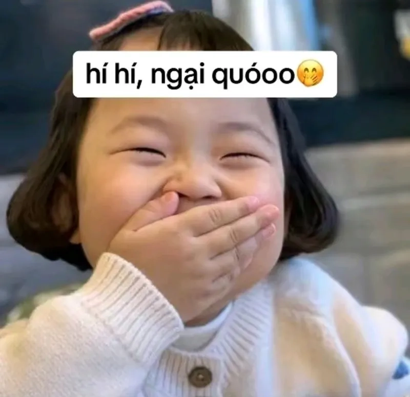 Meme mèo vô tri đáng yêu khiến bạn không thể quên