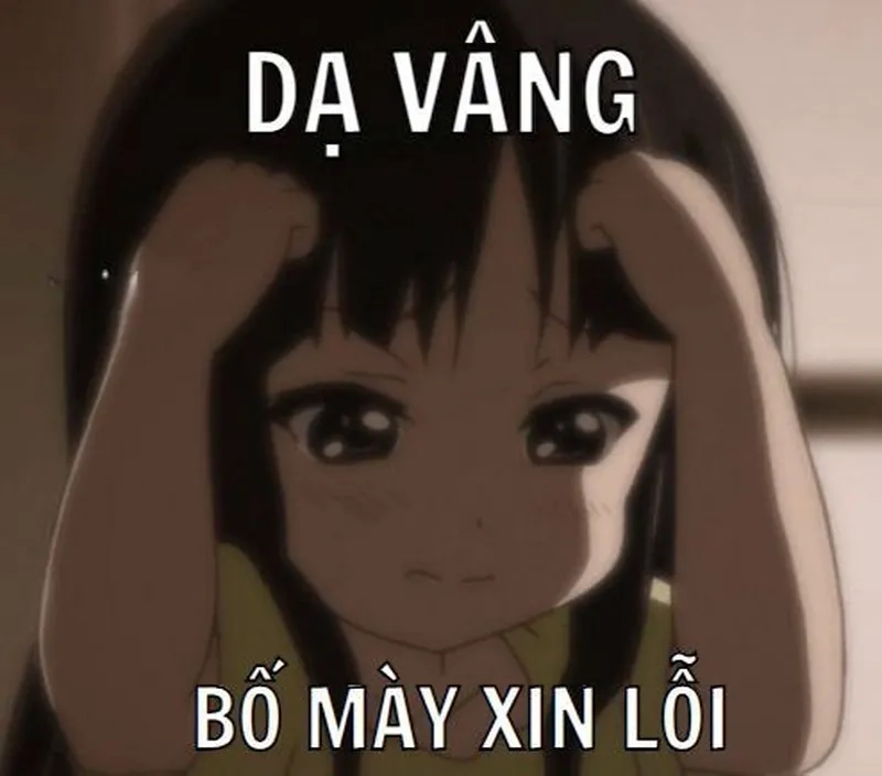 Meme avatar vô tri mèo cho những ai yêu thích động vật