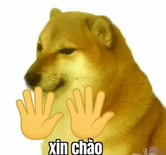 Ảnh chào tạm biệt meme khiến bạn cảm thấy đồng cảm