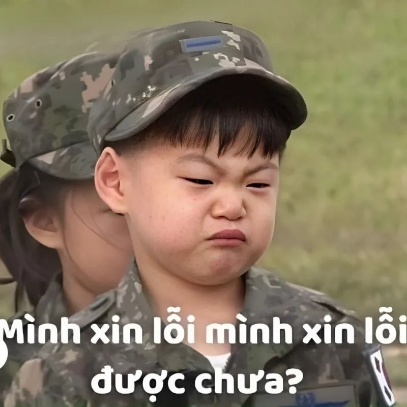 Meme xin lỗi chân thành mang lại cảm giác đồng cảm cho người xem