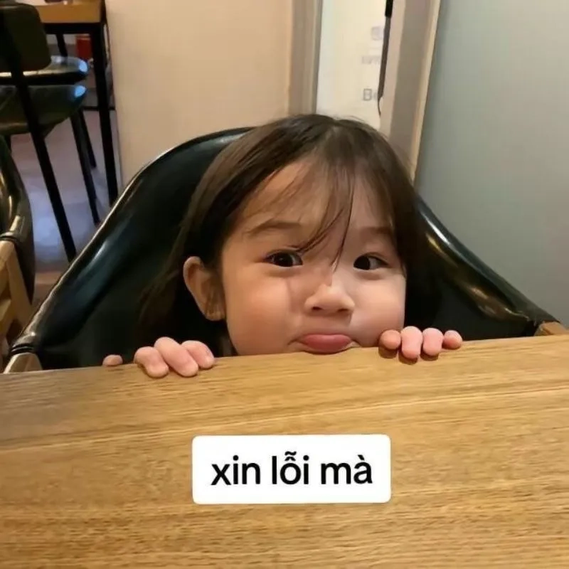 Văn mẫu đơn xin lỗi meme dễ thương khiến bạn không thể nhịn cười