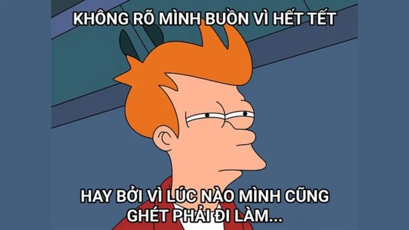 Tết meme mèo mang lại tiếng cười cho mọi người