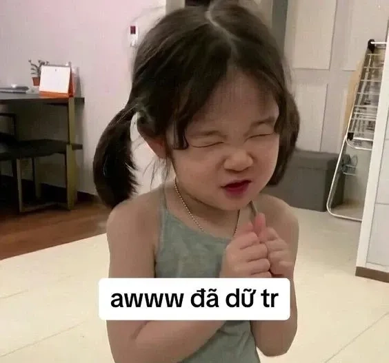 Quan ngại sâu sắc meme cho những ai thích sự hài hước