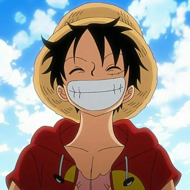 Avatar của luffy mang đến sự dễ thương và ngộ nghĩnh