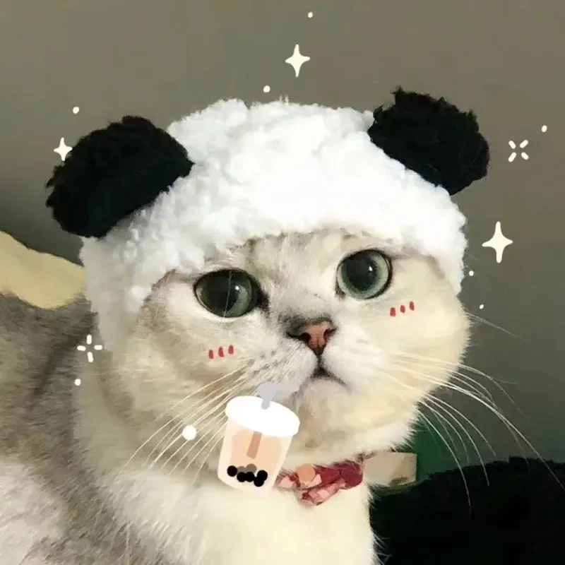 Icon hài hước ảnh meme cute sẽ là điểm nhấn cho phong cách của bạn