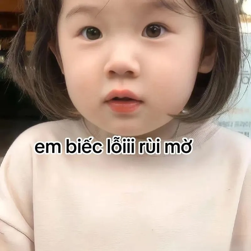 Ảnh meme vô tri cute mang lại niềm vui cho người xem