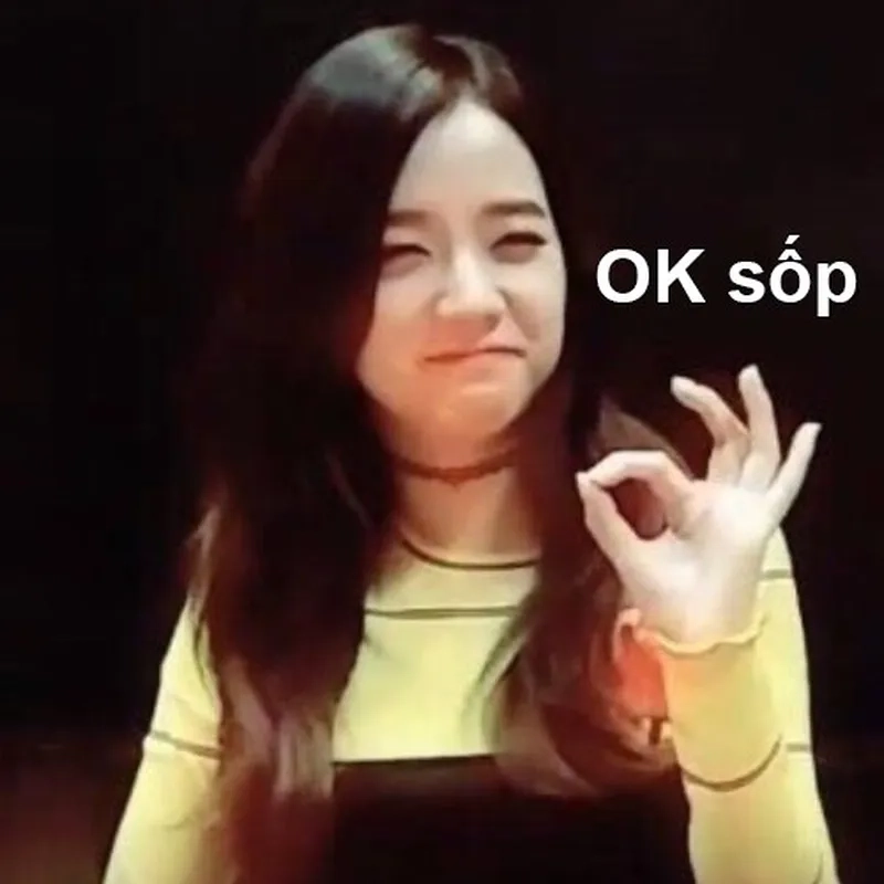 Jisoo meme blackpink dễ thương mang lại tiếng cười cho mọi người