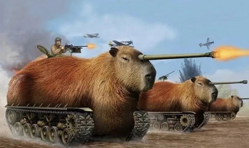 Capybara anime meme mang lại niềm vui cho người xem