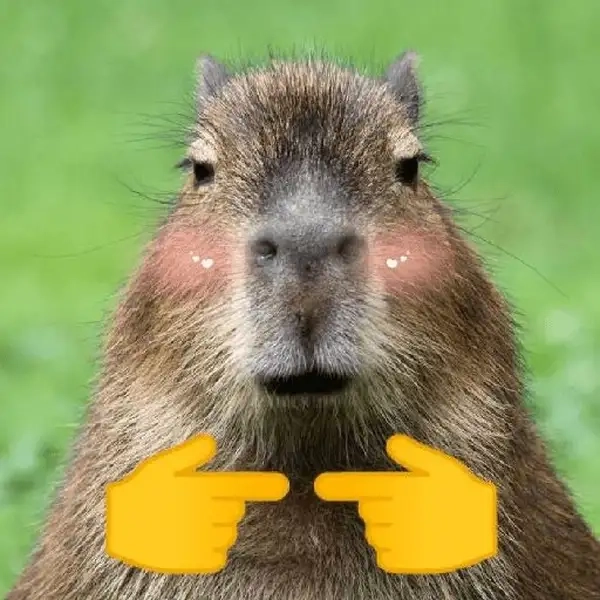 Capybara meme cầm dao thể hiện sự hài hước độc đáo