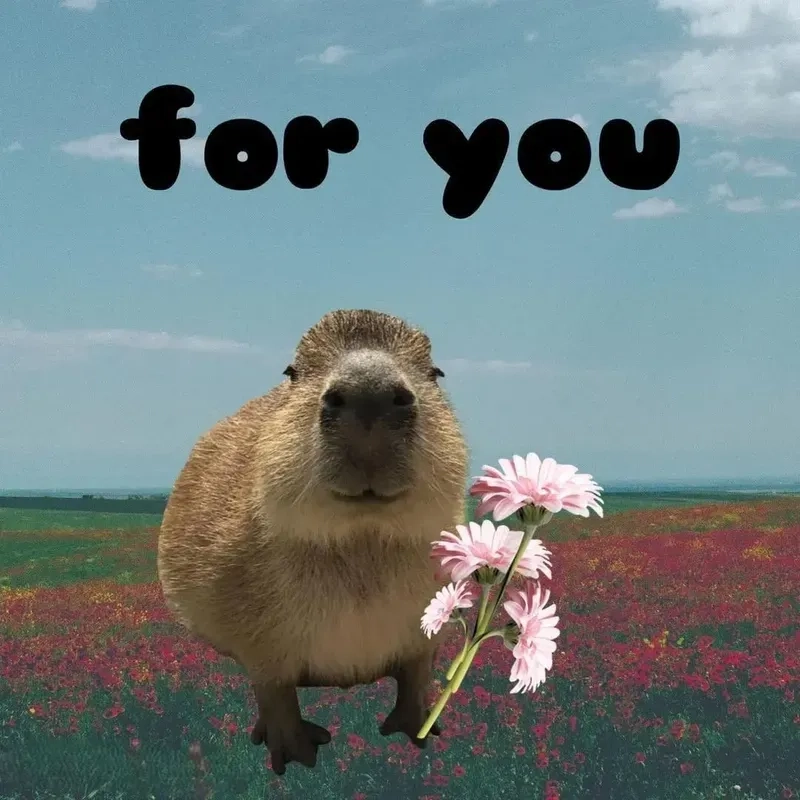 Capybara hồng meme mang lại niềm vui cho người xem