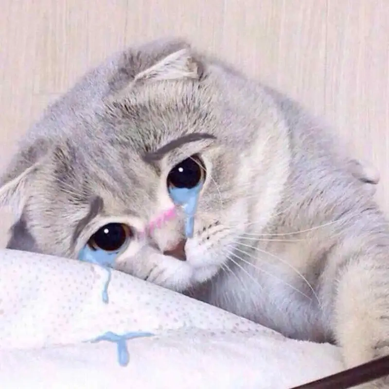 Crying meme emoji thể hiện cảm xúc buồn nhưng hài hước