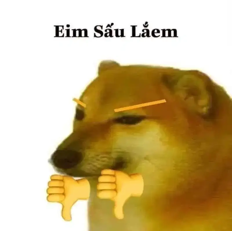 Con chó shiba meme mang lại tiếng cười cho mọi người