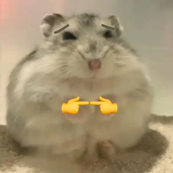 Hamster đuôi dài meme mang lại tiếng cười sảng khoái