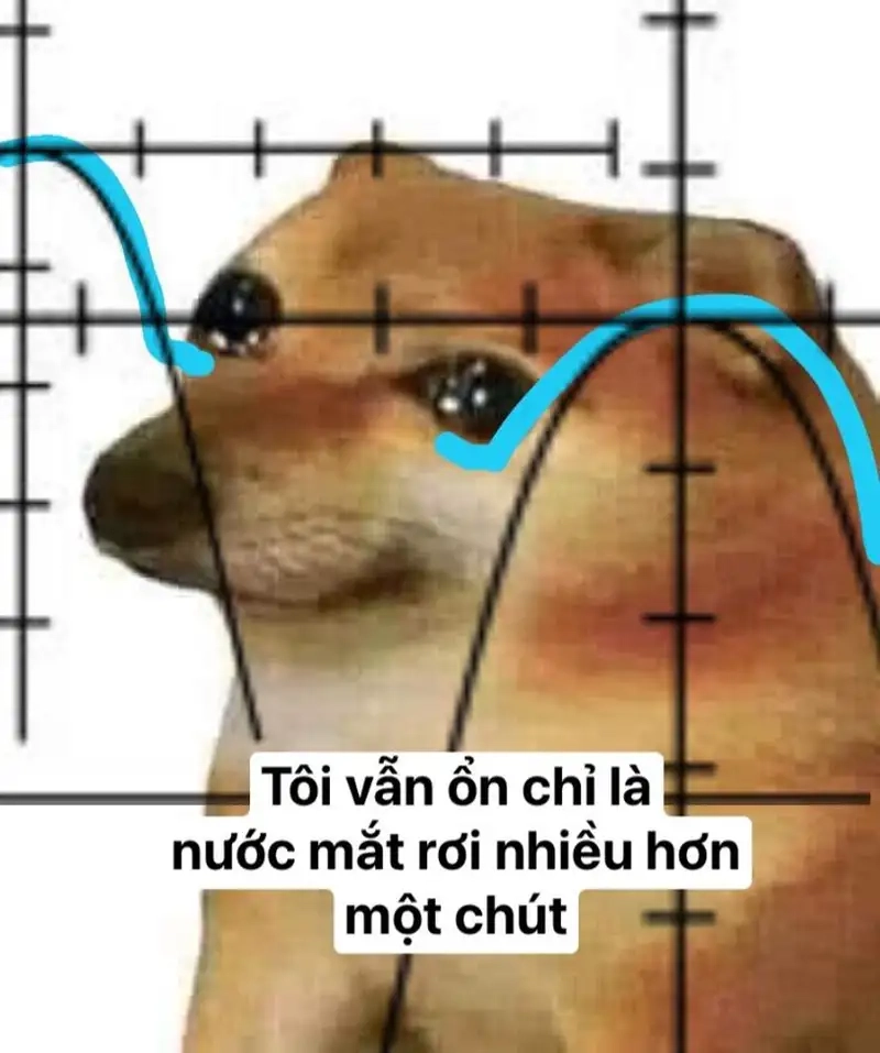 Jerry cry meme dễ thương khiến bạn không thể cưỡng lại