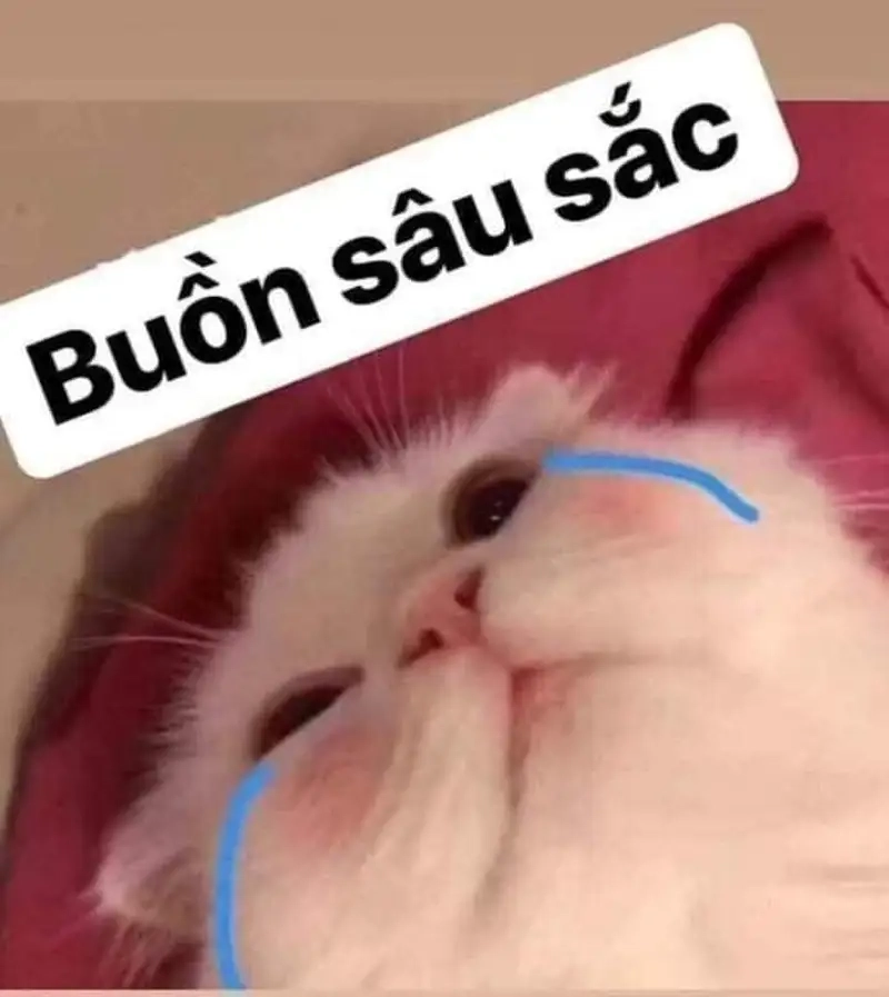 Cry laugh meme mang lại tiếng cười sảng khoái