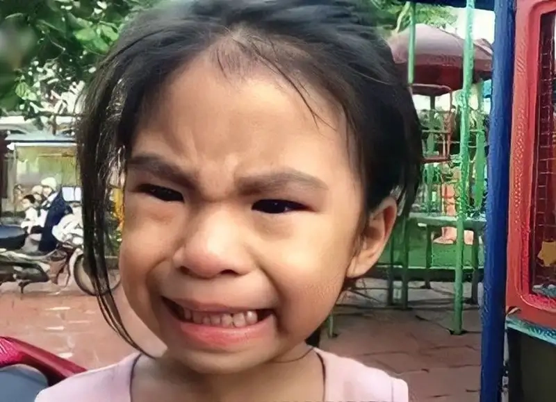 Meme crying cat dễ thương khiến bạn không thể cưỡng lại