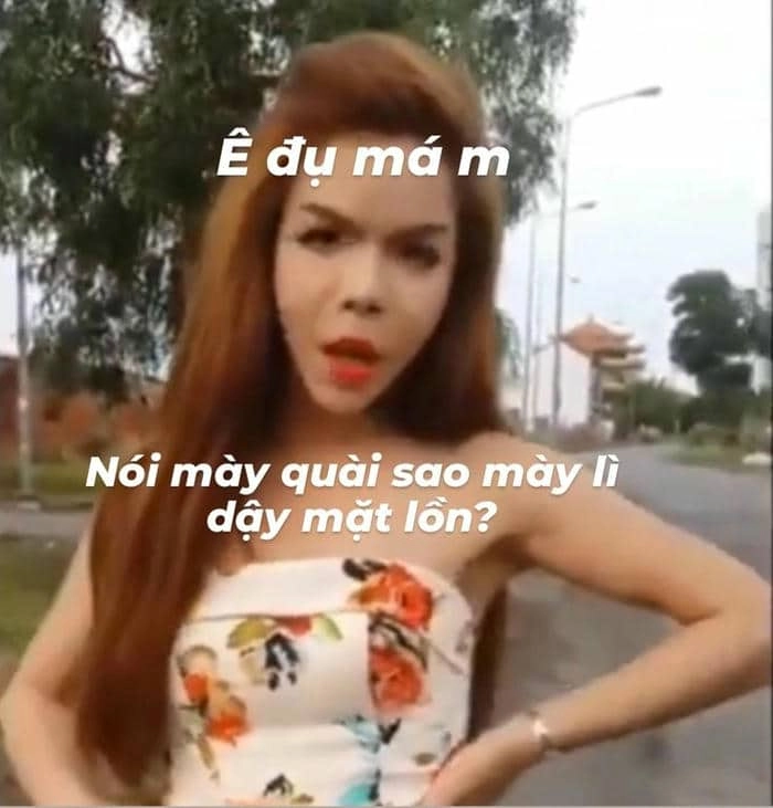 Ảnh meme đánh nhau mang lại niềm vui cho người xem