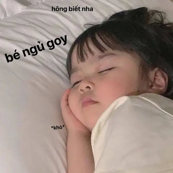 Meme cay cú không ngủ được mang lại tiếng cười sảng khoái