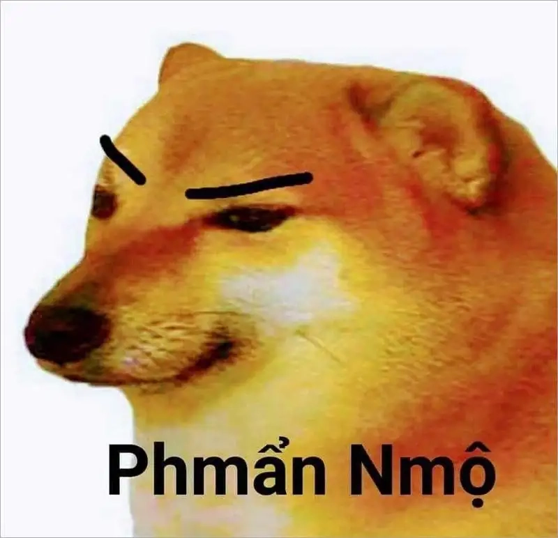 Meme dog Cheems dễ thương cho những ai yêu thích hài hước