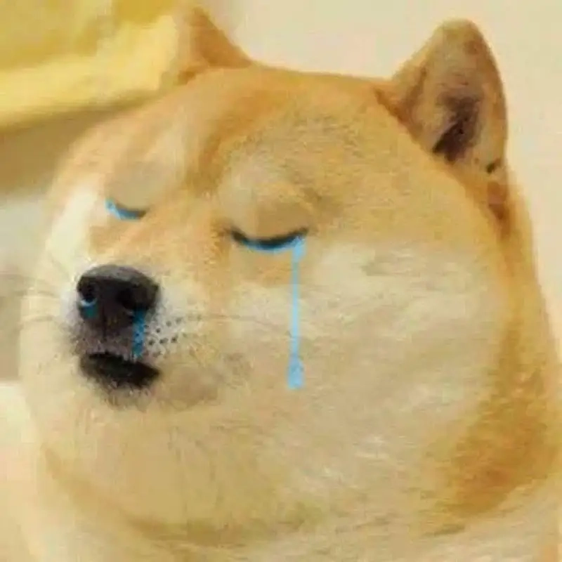 Doge meme Cheems dễ thương khiến bạn không thể cưỡng lại