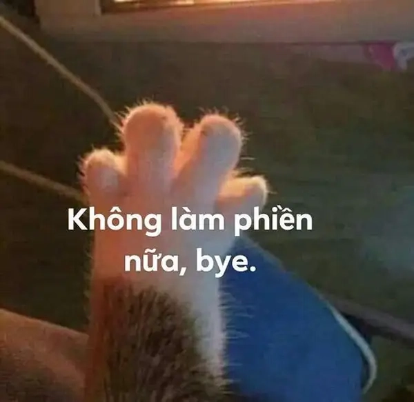 Ảnh meme tạm biệt dễ thương cho ngày thêm vui