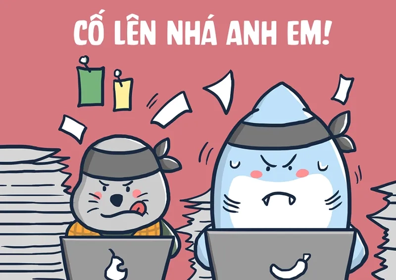 Mũ cối meme mang lại tiếng cười cho người xem