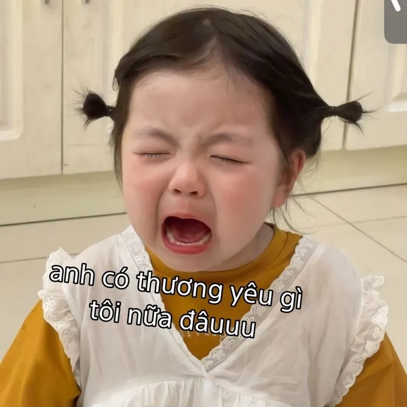 Meme xin lỗi đáng yêu dễ thương khiến bạn không thể nhịn cười