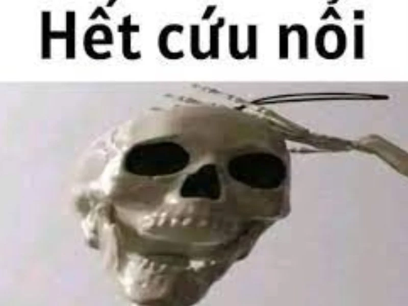 Nguồn gốc meme hết cứu thể hiện sự hài hước độc đáo