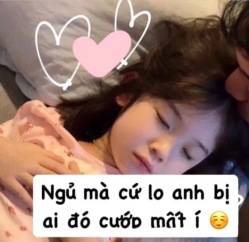 Meme cat love mang lại tiếng cười cho mọi người