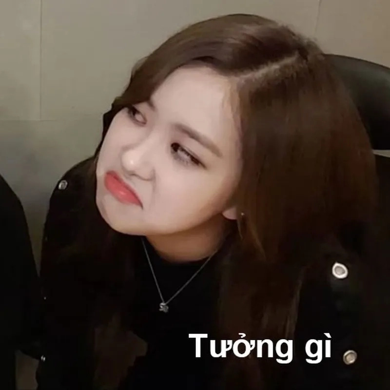 Ảnh Lisa meme dễ thương khiến bạn cảm thấy vui vẻ