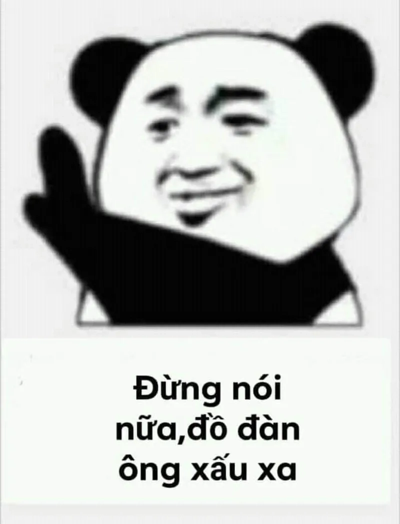 Ảnh meme gấu trúc meme hài thật dễ thương