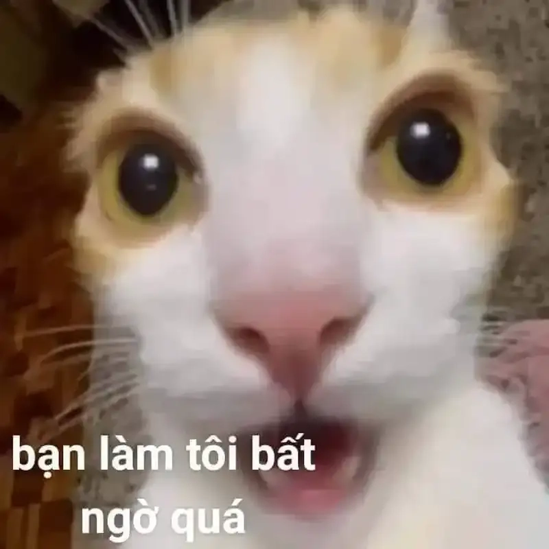 Meme da đen ngạc nhiên khiến bạn cảm thấy vui vẻ