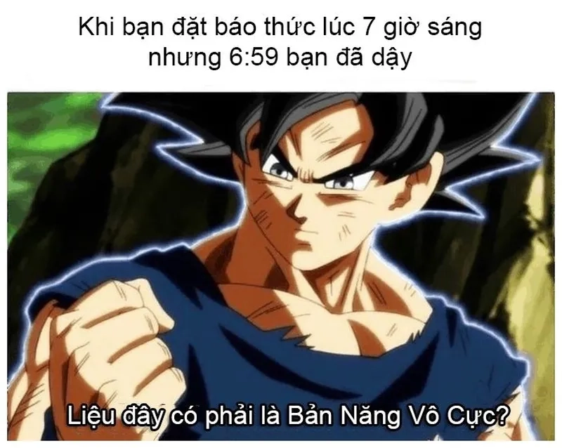 Meme xin lỗi hài khiến bạn cảm thấy gần gũi hơn