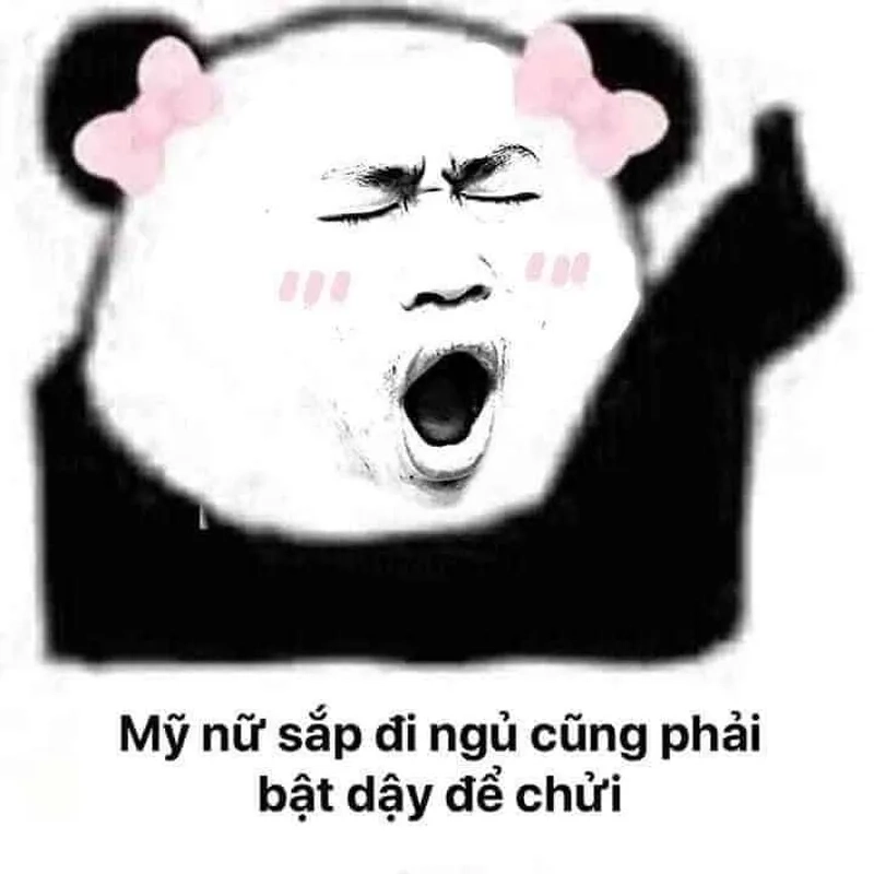 Cute meme hài khiến bạn không thể quên