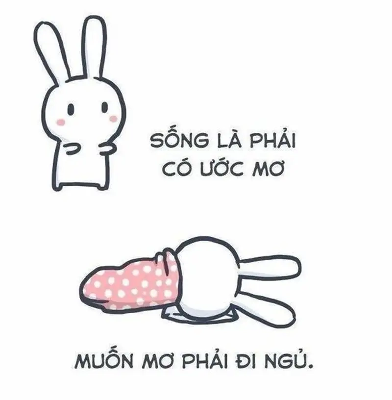 Ảnh meme mới ngủ dậy mang lại niềm vui cho mọi người