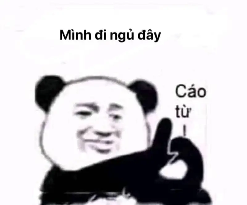 Ảnh meme chúc ngủ ngon thật ngọt ngào và dễ thương