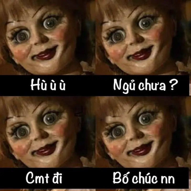 Meme mèo ngủ ngon mang lại niềm vui cho người xem