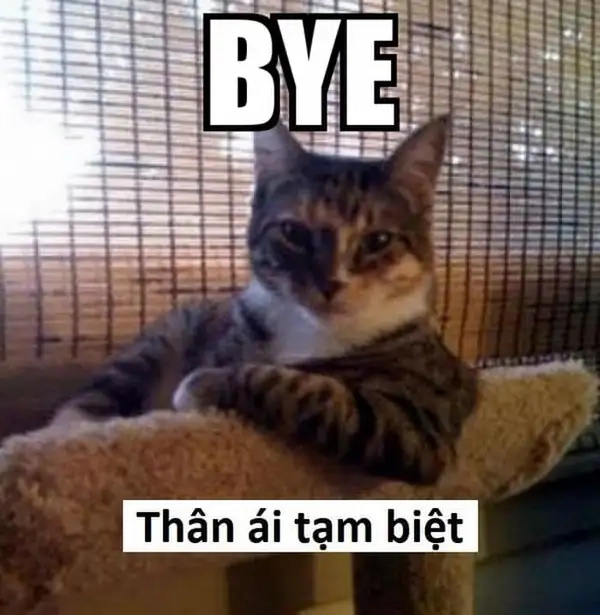 Bye bye mewing meme thể hiện sự hài hước trong giao tiếp