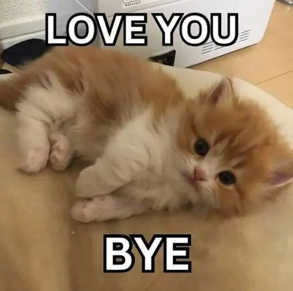 Bye meme gif khiến bạn không thể quên