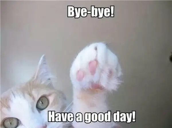 Say goodbye meme thể hiện sự tôn trọng trong chia tay